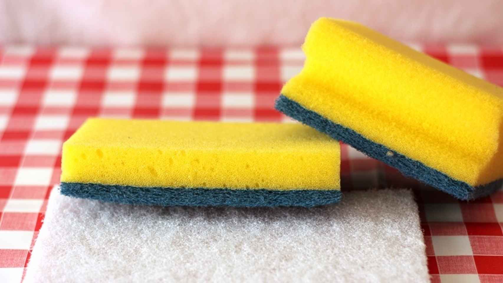 4 cosas que NO deberías hacer con tu esponja de cocina - La Opinión