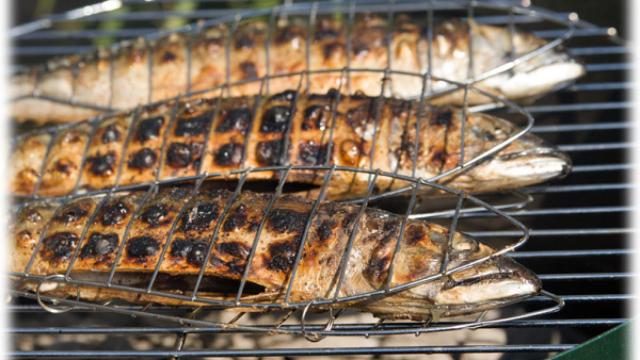 Imagen de archivo de una barbacoa de pescado