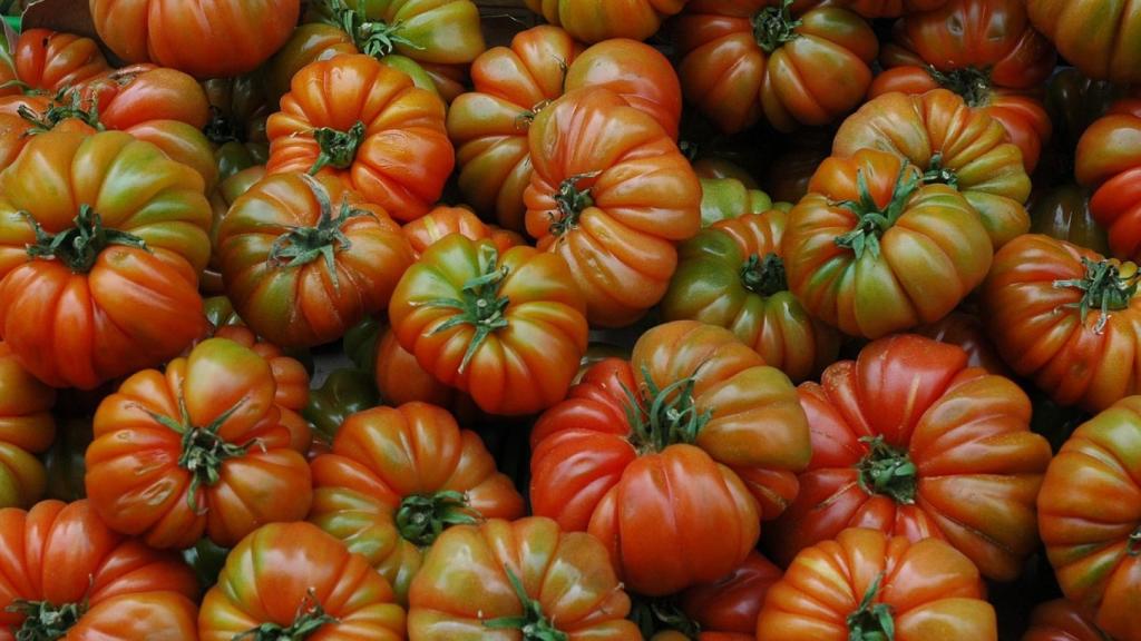 tomates-raf