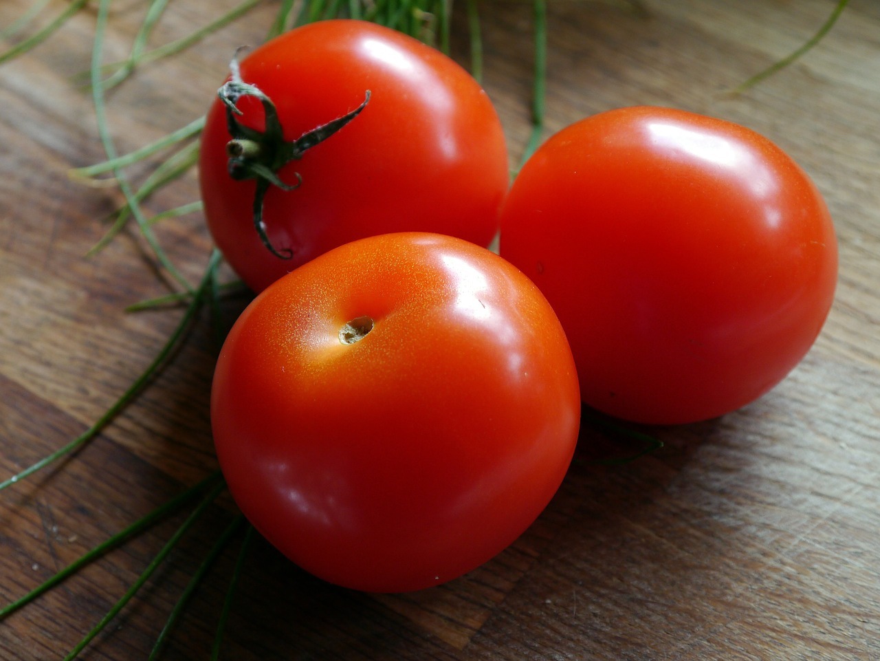 tomate-daniela
