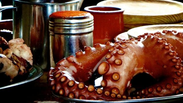 cocer-pulpo-01