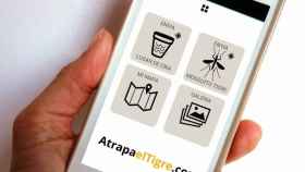 Tigatrapp, la única aplicación anti-mosquitos que realmente funciona