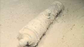 Image: La expedición al pecio de la fragata Mercedes recupera un cañón y once piezas más de alto valor arqueológico