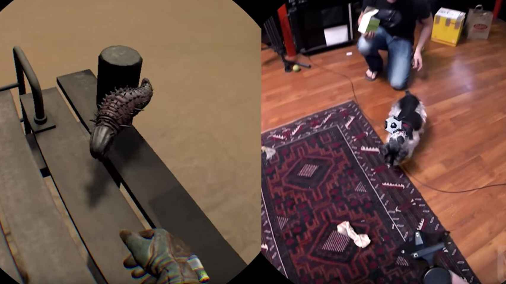 Convierte a tu mascota en tu monstruo preferido con VR Pet