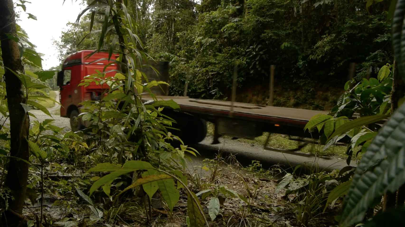 Un camión atraviesa la selva virgen de Ecuador.