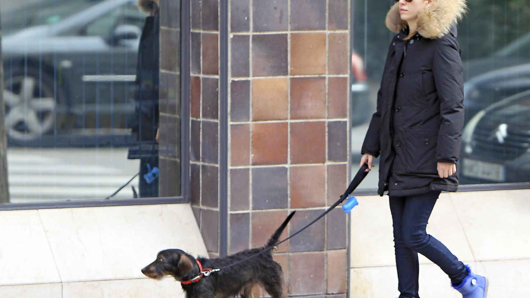 La actriz Blanca Suárez paseando a su perro Pistacho