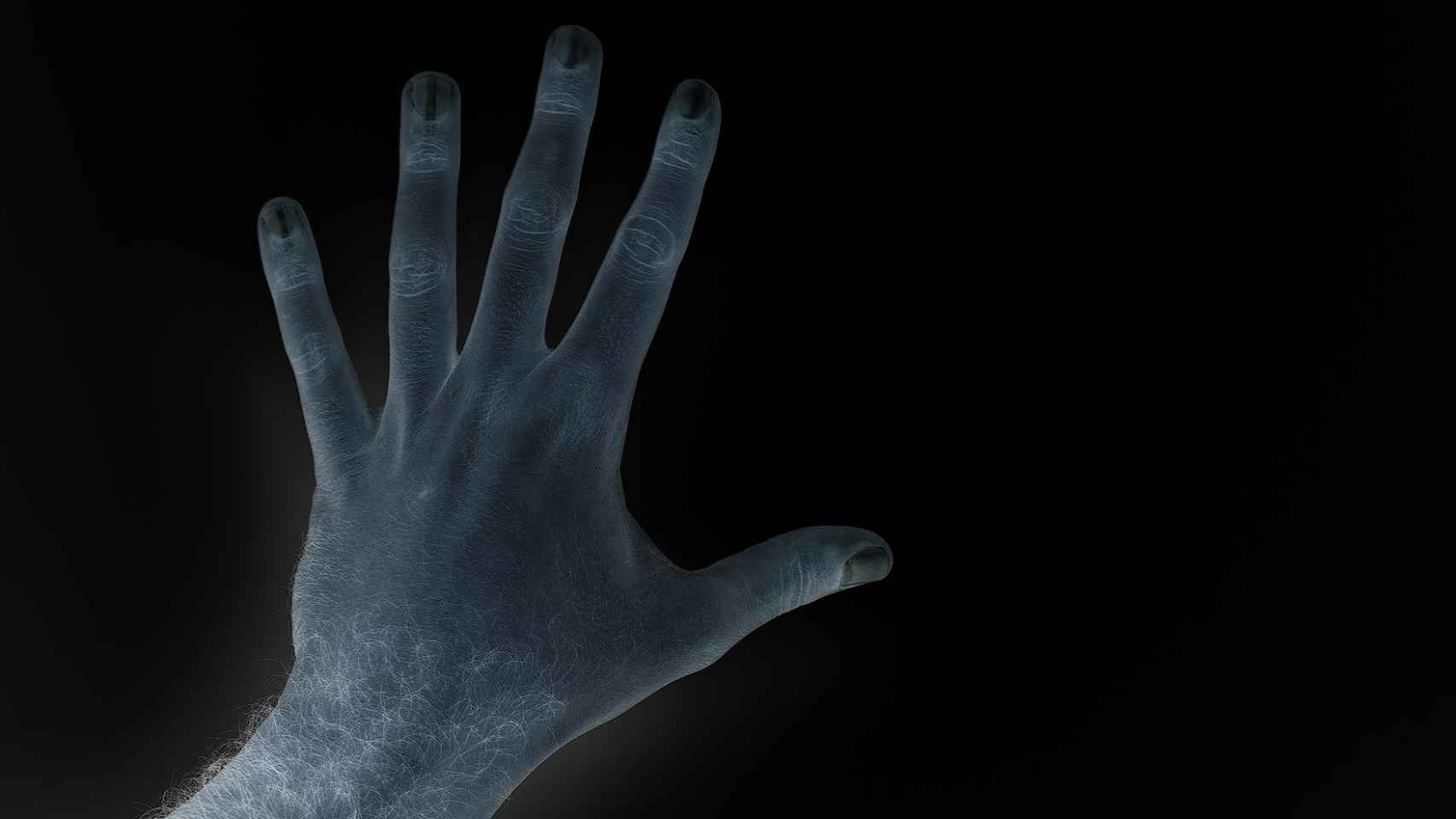 ¿Cómo ha evolucionado la mano humana?