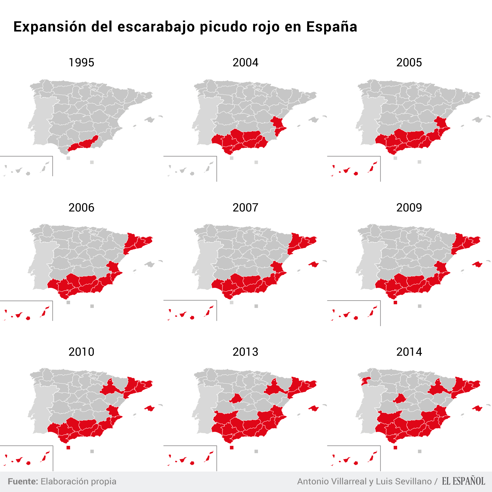Expansión del picudo rojo en España