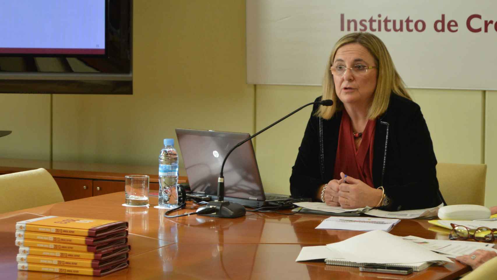 La presidenta del ICO, Irene Garrido, en una comparecencia.