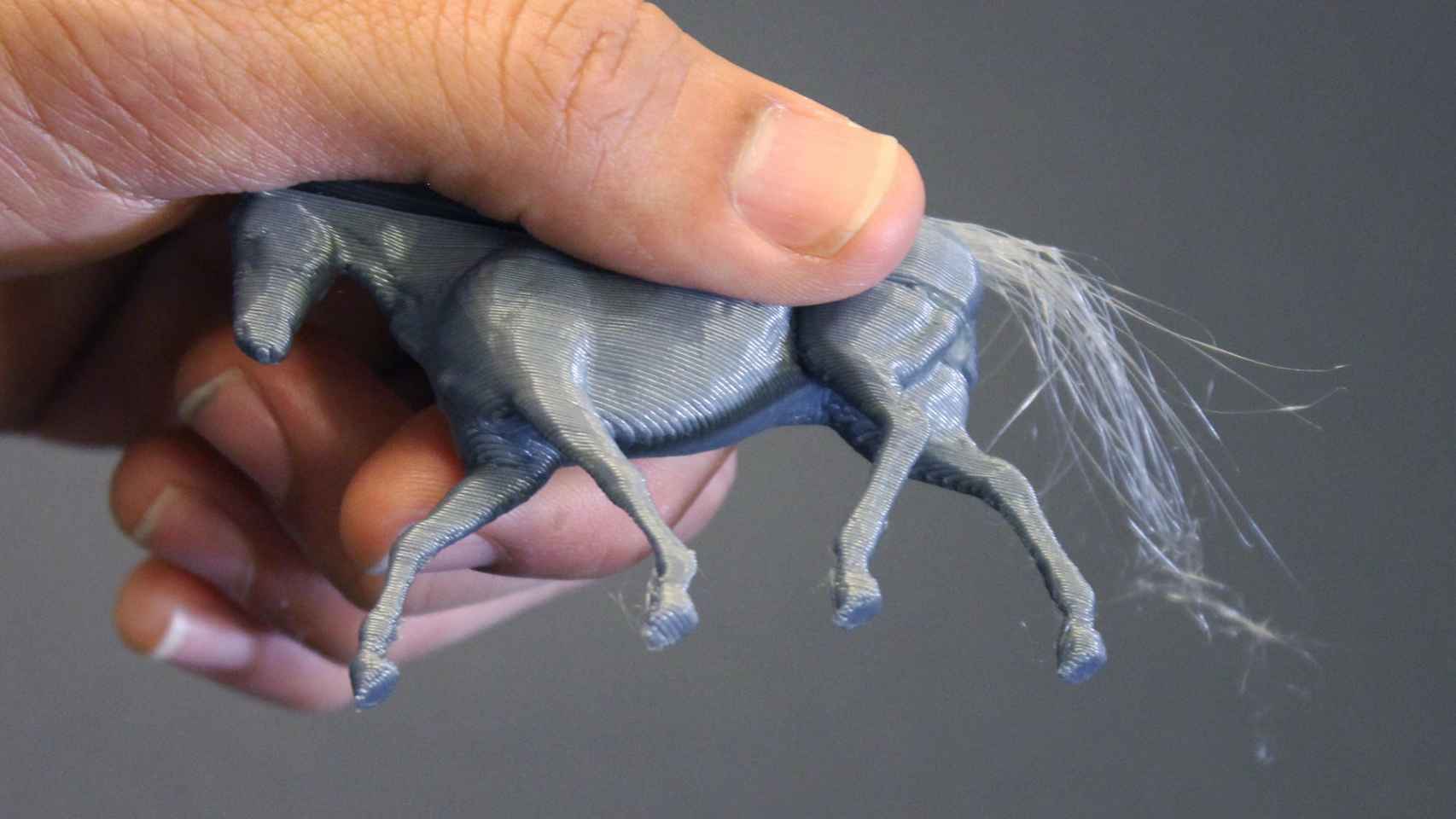 Un caballo impreso con su larga cola.