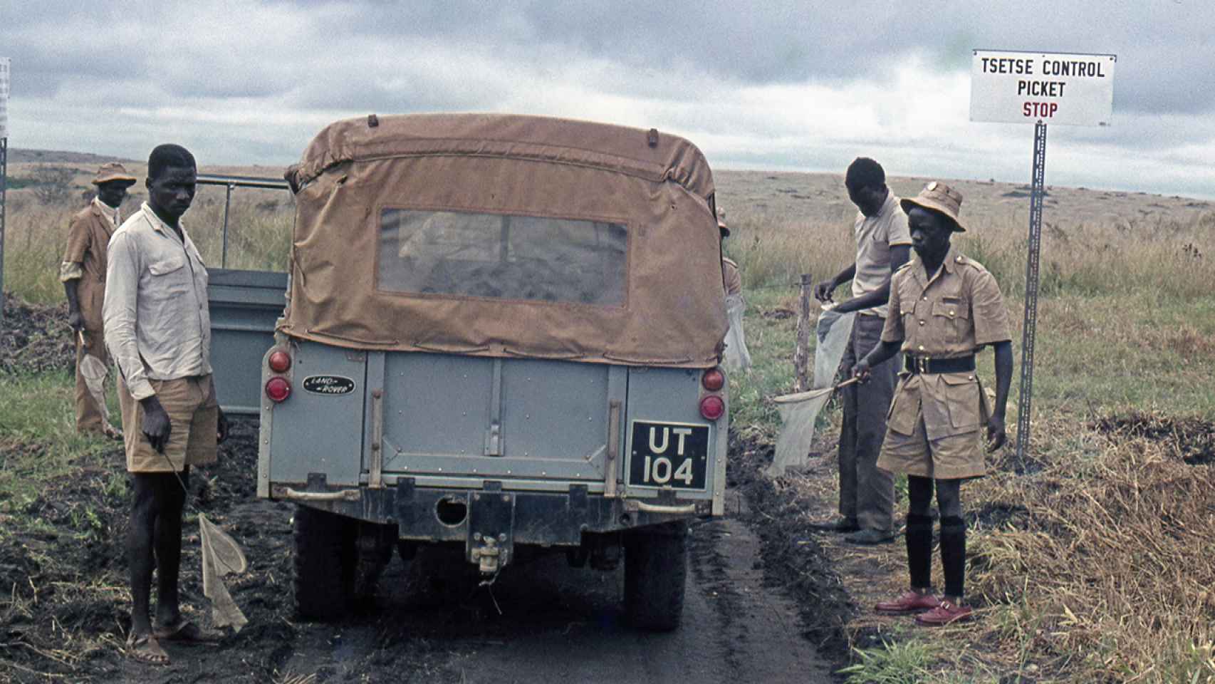 Un control de moscas tsé-tsé en la Uganda de los años 60.