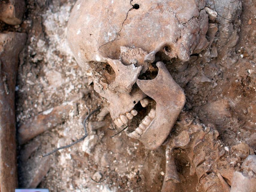 Un cráneo, con un tiro en la sien, en una fosa común en la provincia de Burgos.