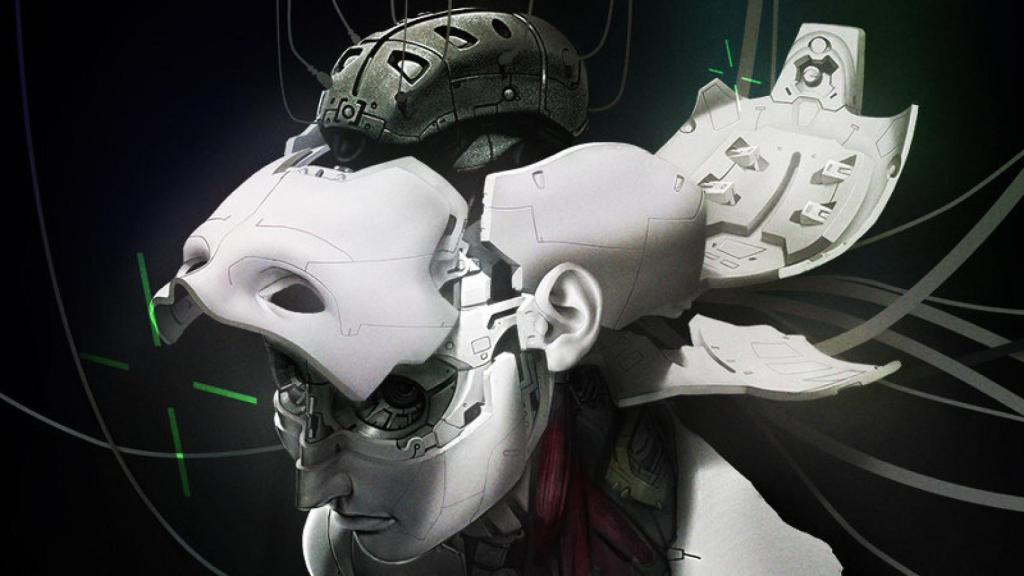 ghost in the shell cerebro ciborg