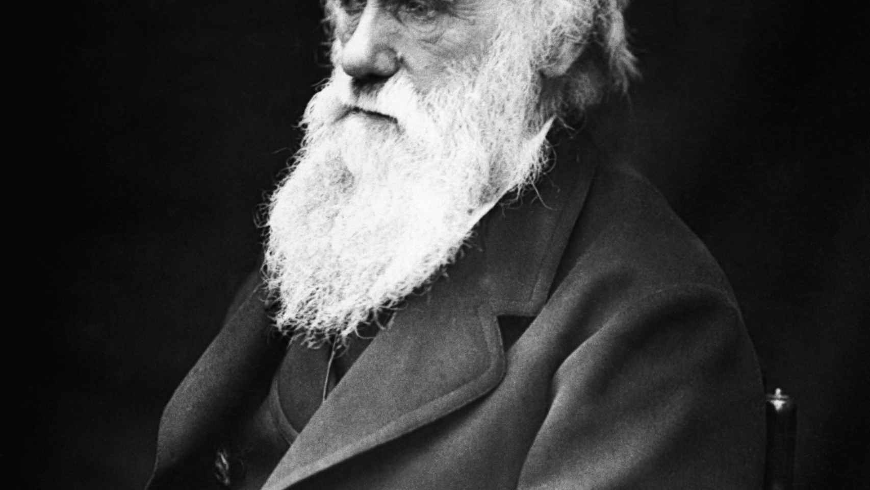 Charles Darwin es el padre de la teoría de la evolución.