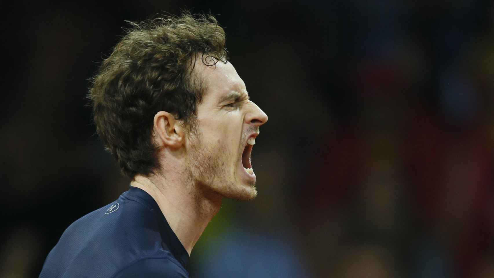 Murray celebra su victoria en Copa Davis