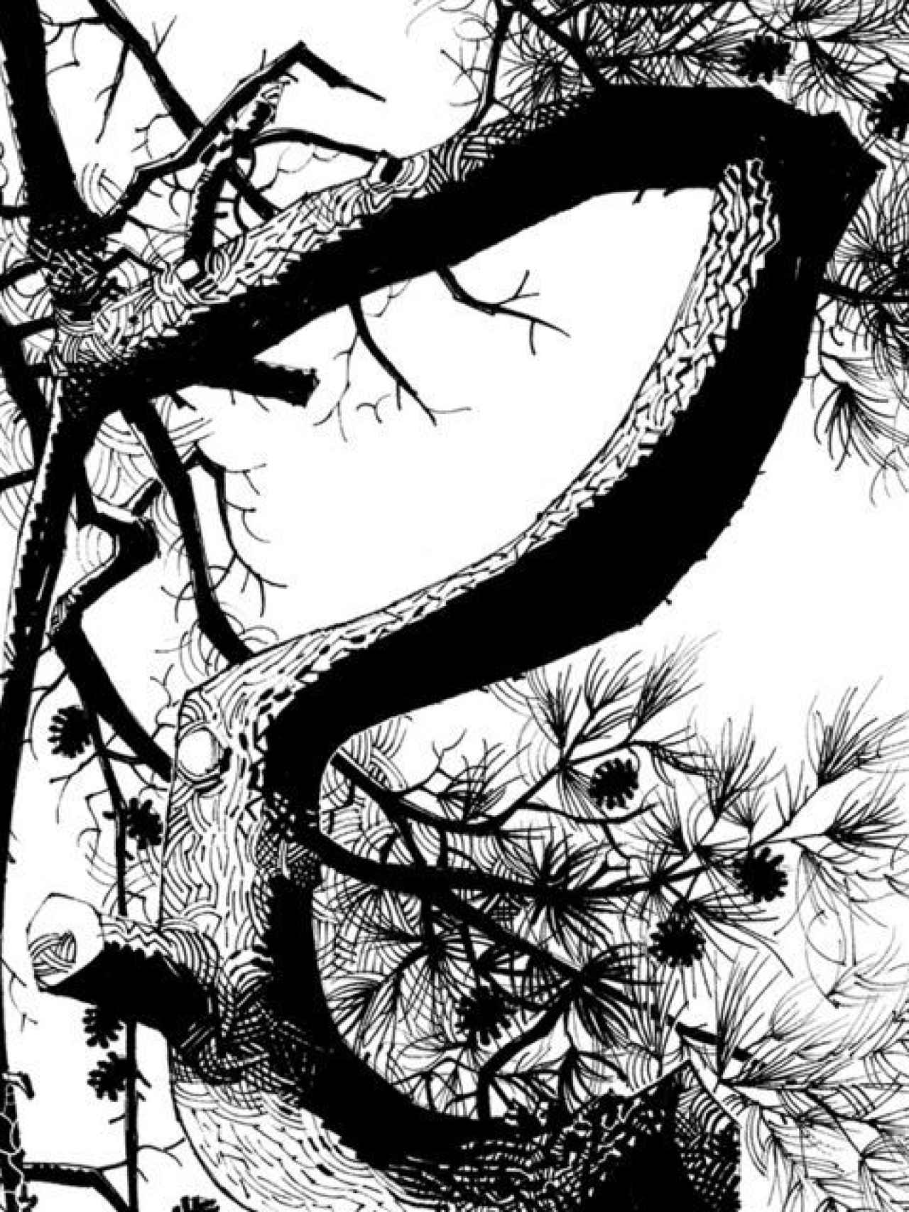 Una de las imágenes incluidas en la serie pictórica de pinos.