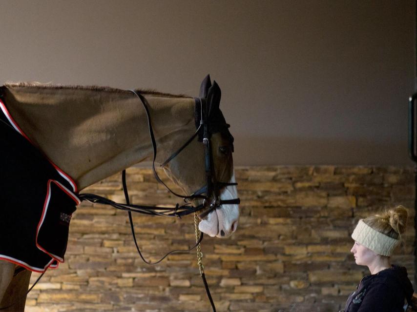 Moza de cuadra a cargo de uno de los caballos que competían en el certamen.