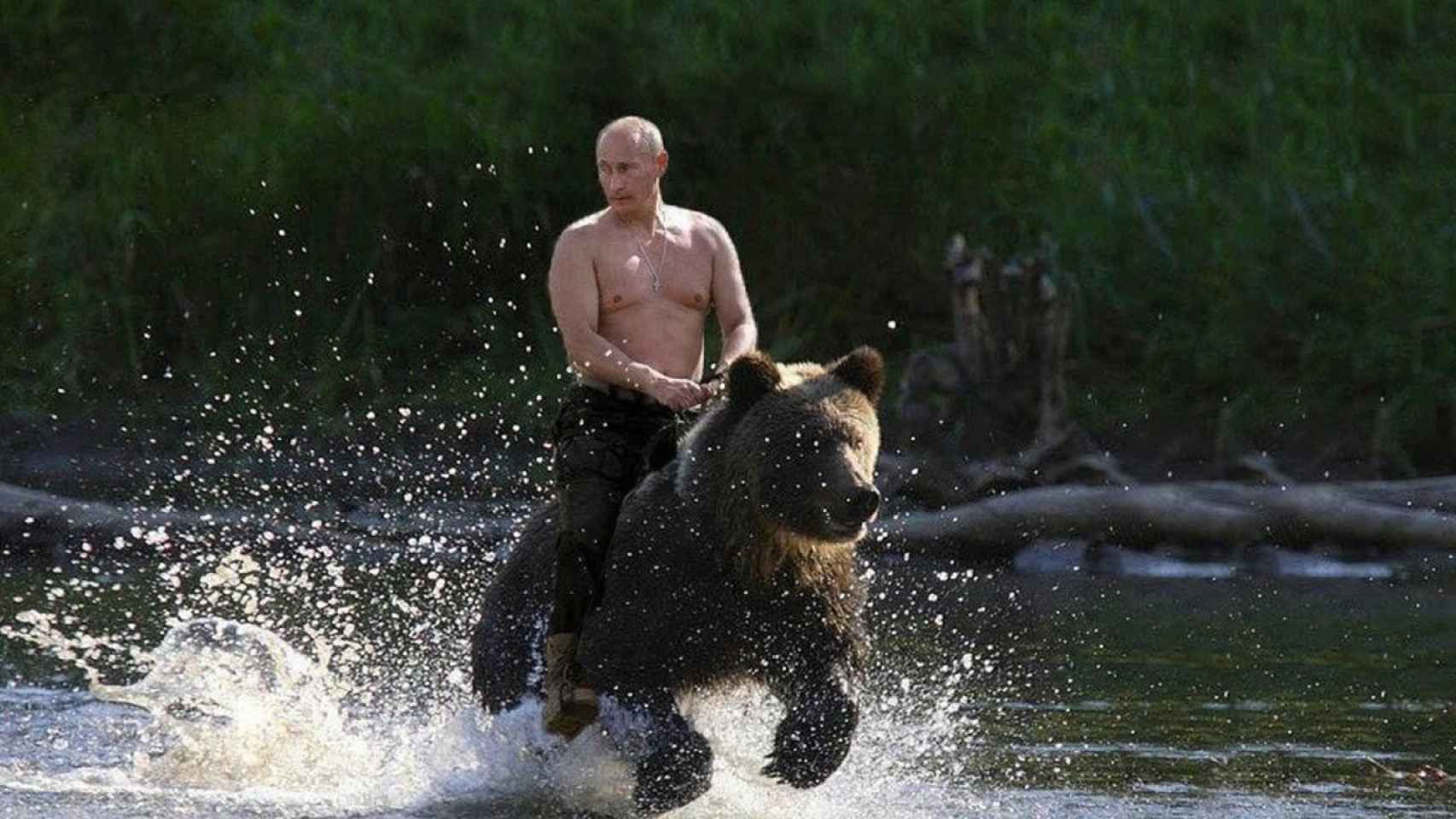 El presidente ruso Vladimir Putin cabalga un oso en un famoso meme de internet.
