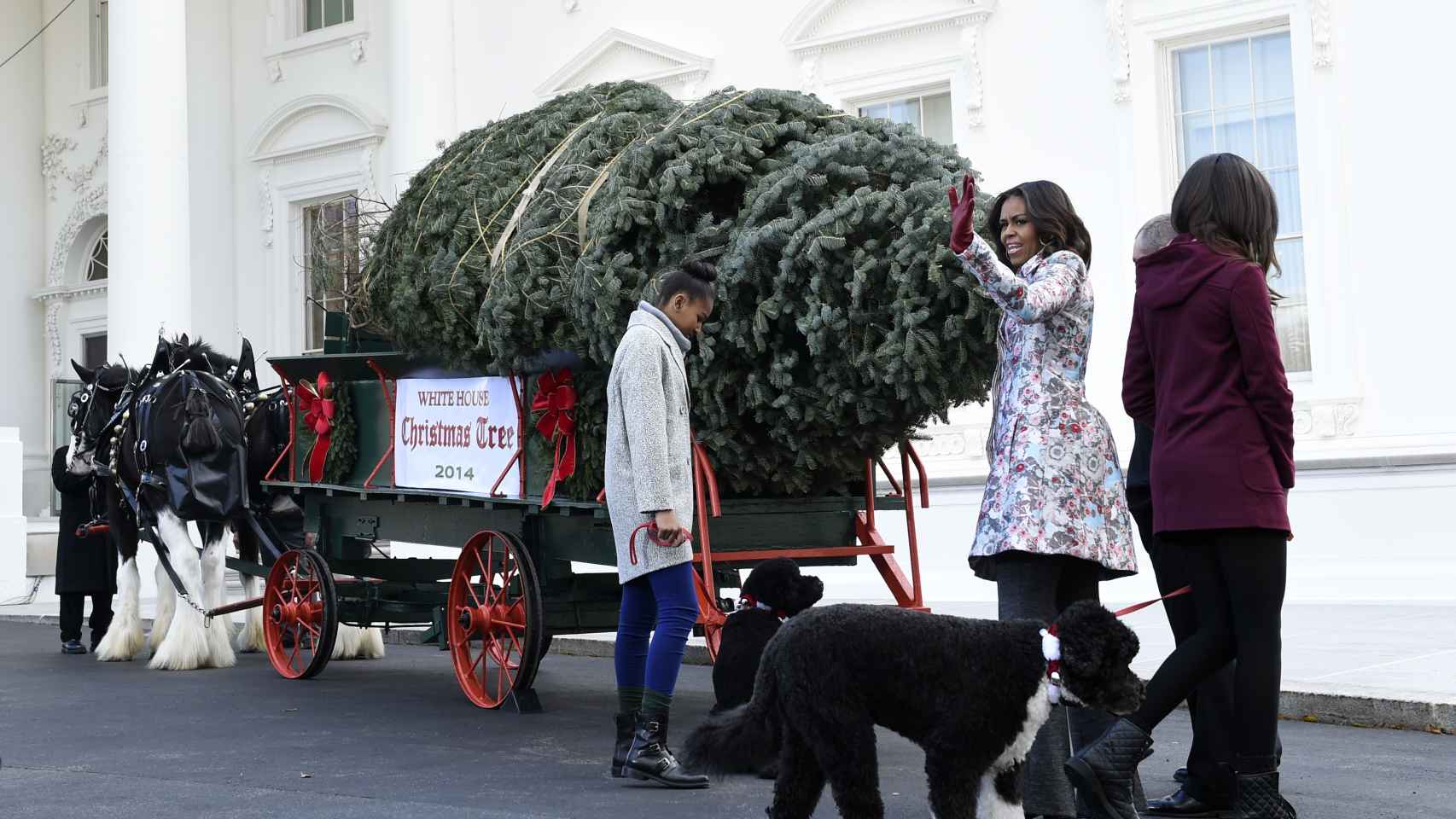 Michelle Obama recibe el árbol de Navidad junto a sus hijas Sasha y Malia en 2014