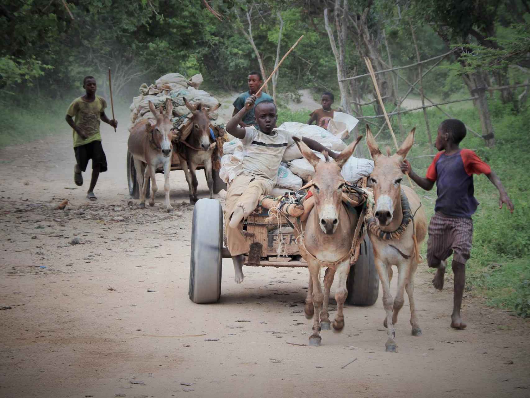 Un grupo de niños traslada grava extraída de las minas de Maweni.
