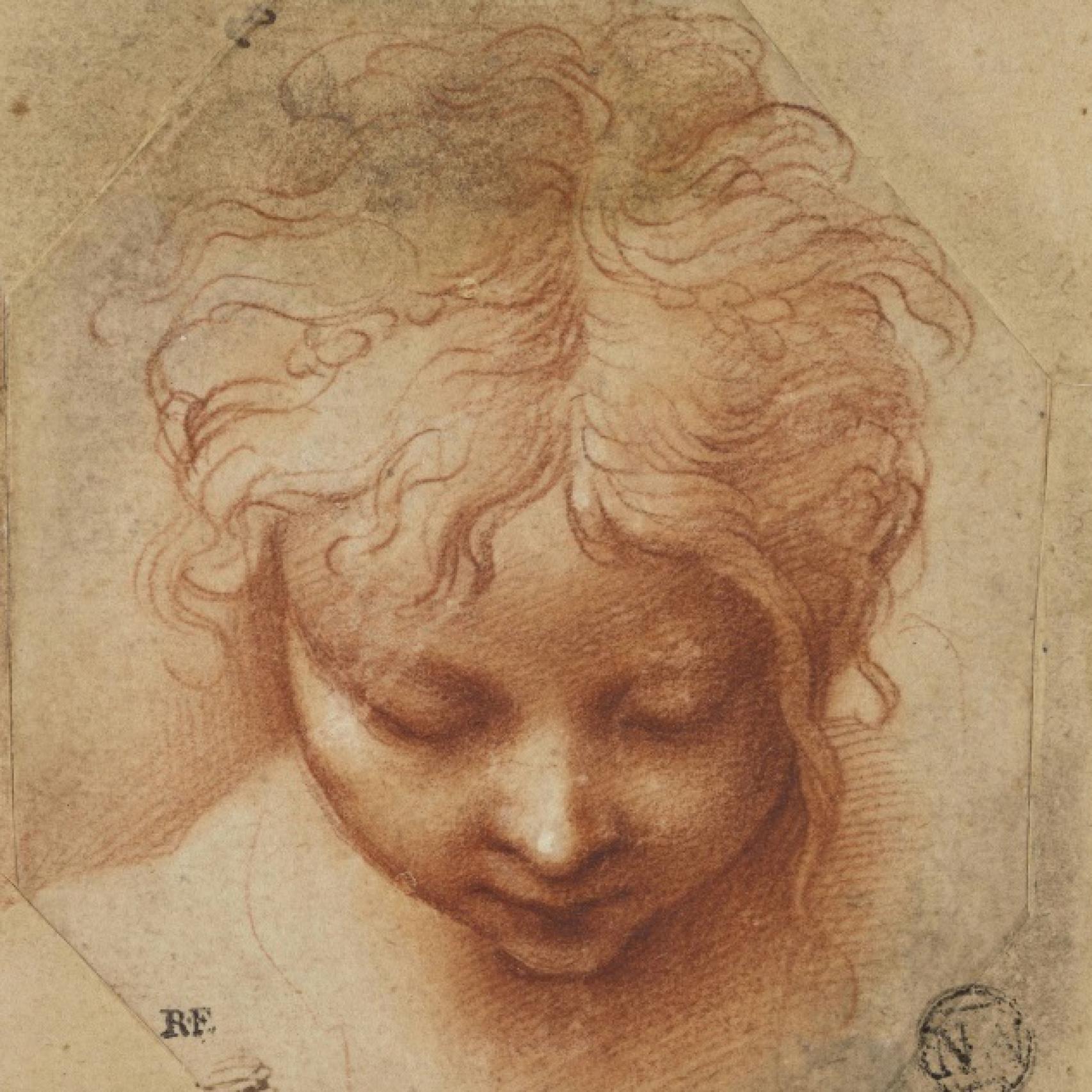 Cabeza de un niño, de Parmigianino
