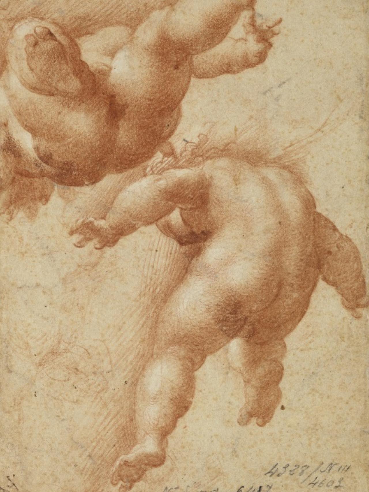 Dos puttis volantes, de Parmigianino