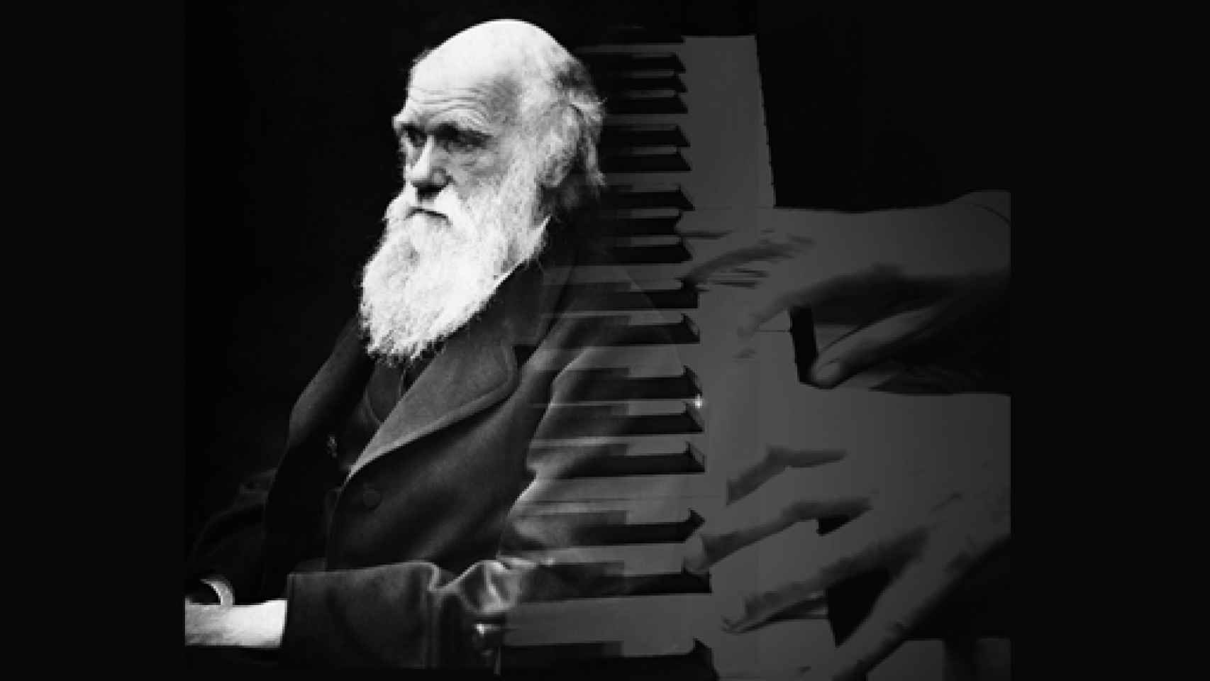 Image: Steiner y el piano de Darwin