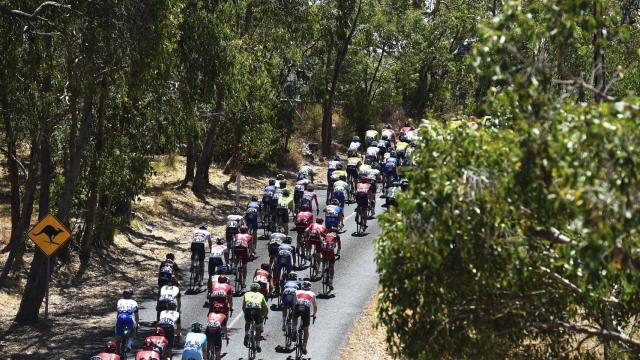 La primera etapa del Tour Down Under 2016.