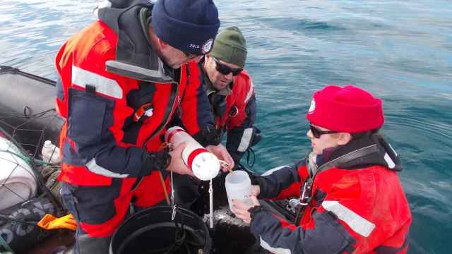 Efectivos y científicos españoles toman muestras en aguas antárticas.