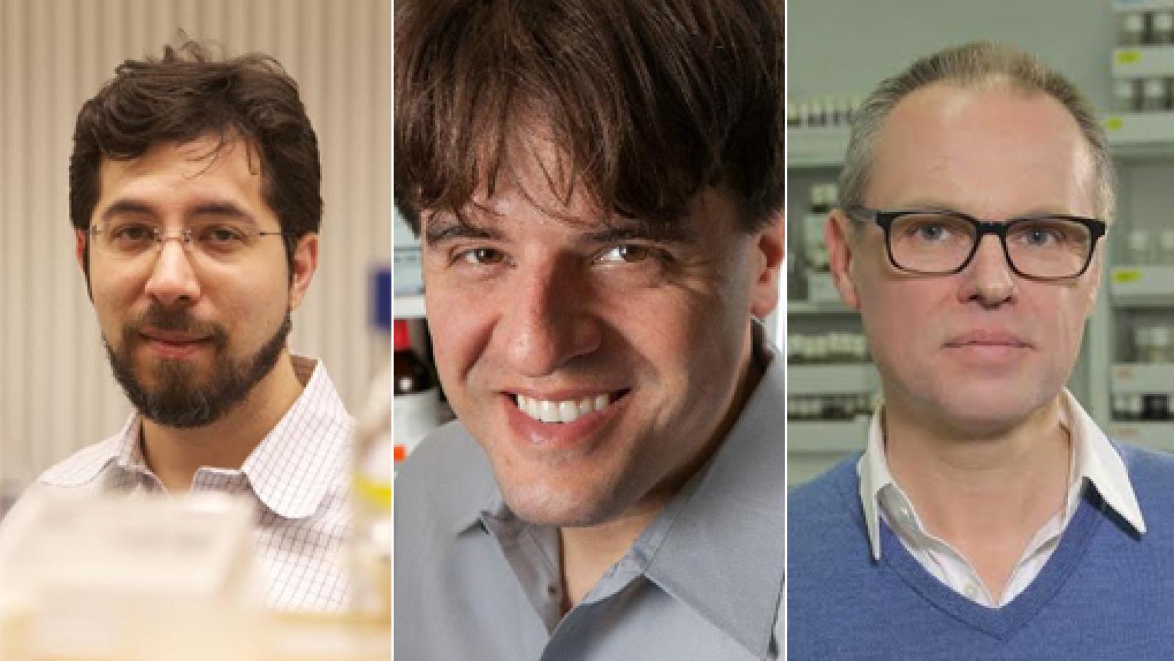 Image: Boyden, Deisseroth y Miesenböck, sin límites en el estudio del cerebro