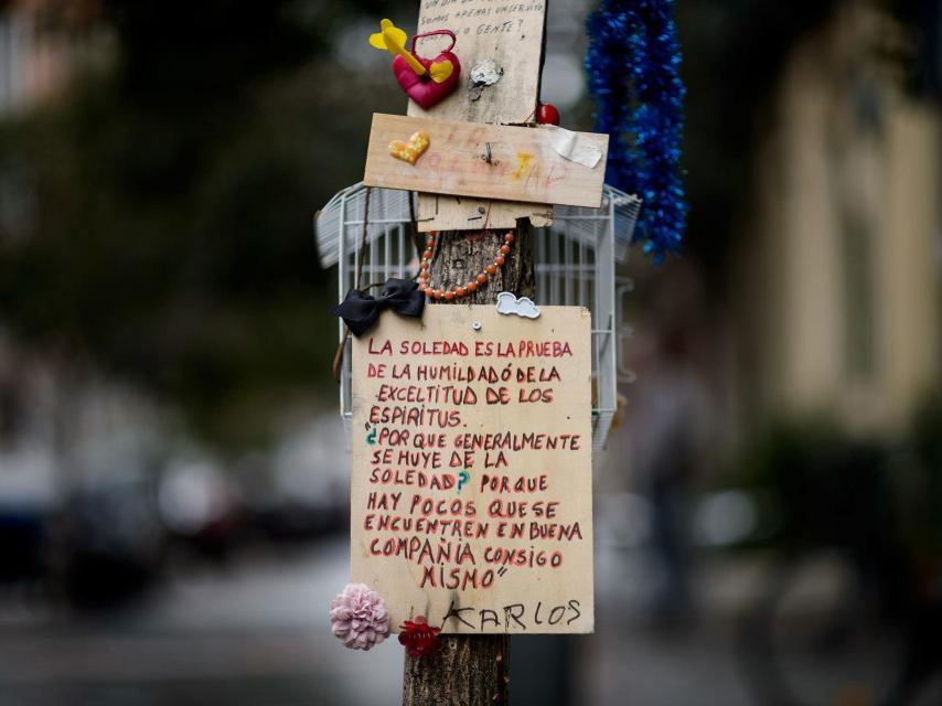 Uno de los poemas colocado en el tronco del árbol