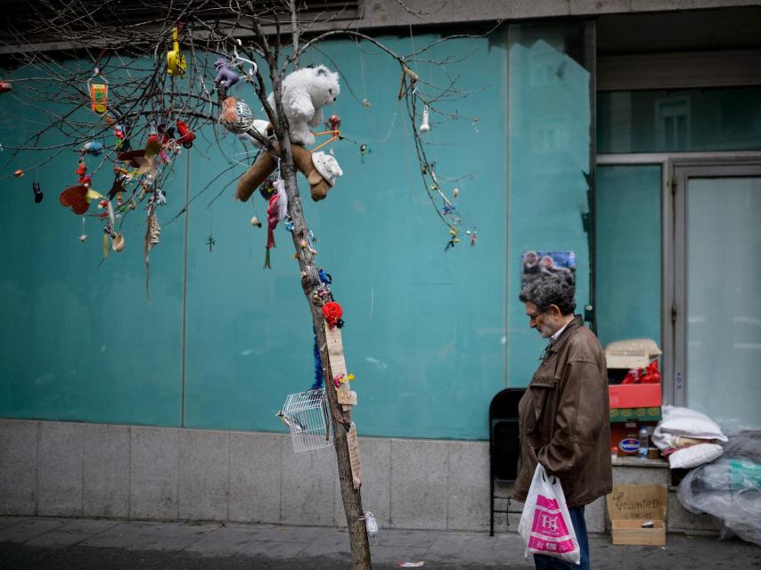 Otro paseante que se detiene para mirar el árbol