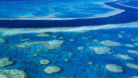 arrecife-de-coral