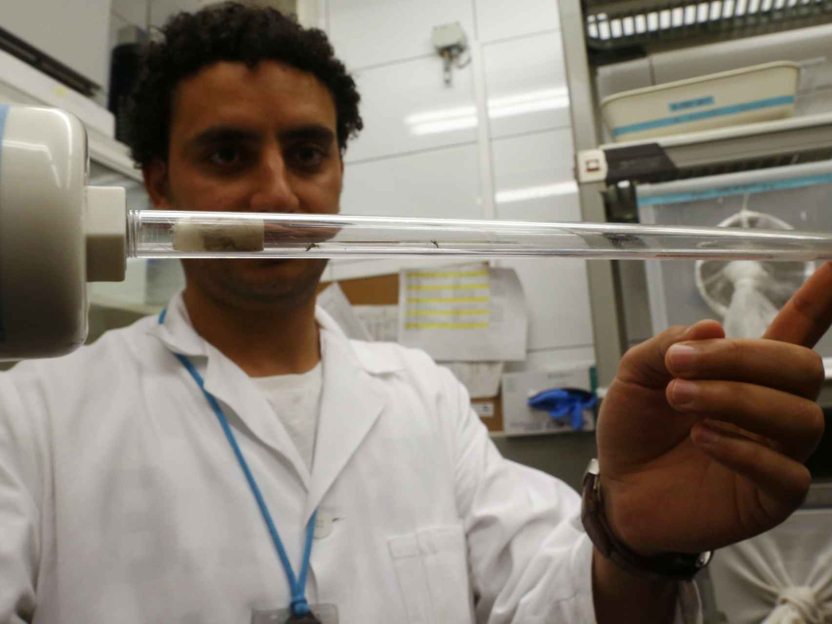 Un investigador analiza mosquitos transmisores del Zika.
