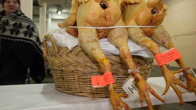 Capones de pollo en un mercado de Galicia.