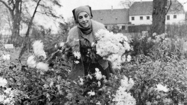 Blixen entre las flores de su granja en Rungstedlund, Dinamarca