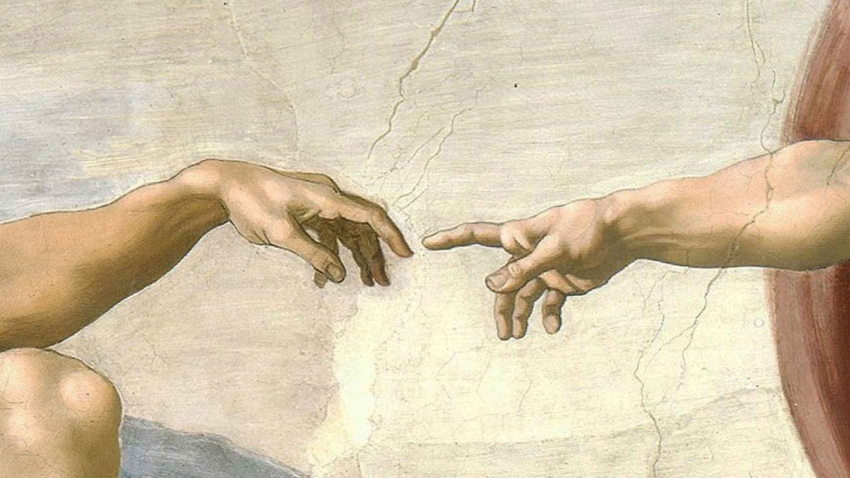 Un estudio sugiere que las manos siguen el diseño del Creador