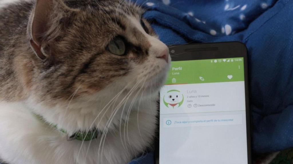 Tu Android puede ser también un veterinario: WAP Diary