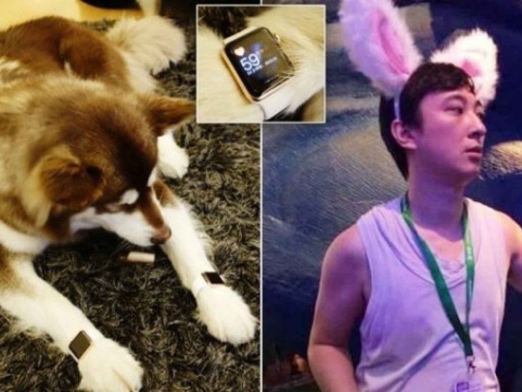 El hijo de Wang y su perro Coco con dos relojes iWatch de oro