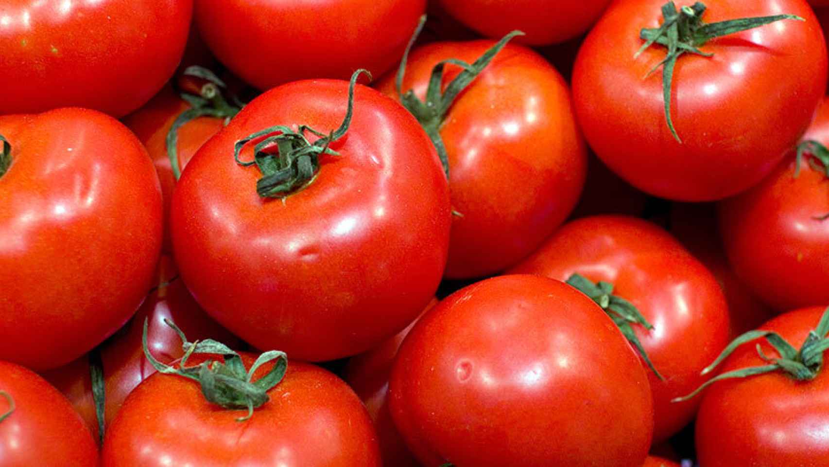 tomates-electricidad