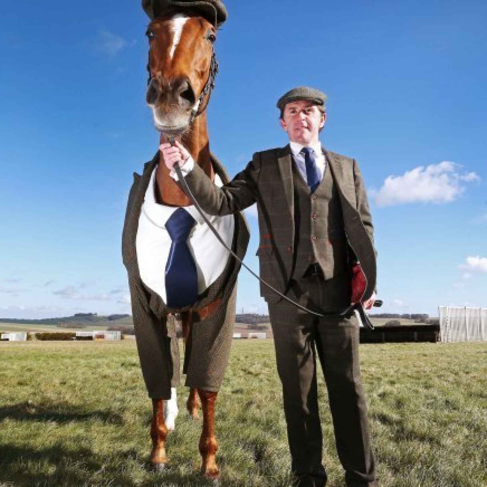 El primer caballo del mundo en traje junto a Sir Anthony McCoy