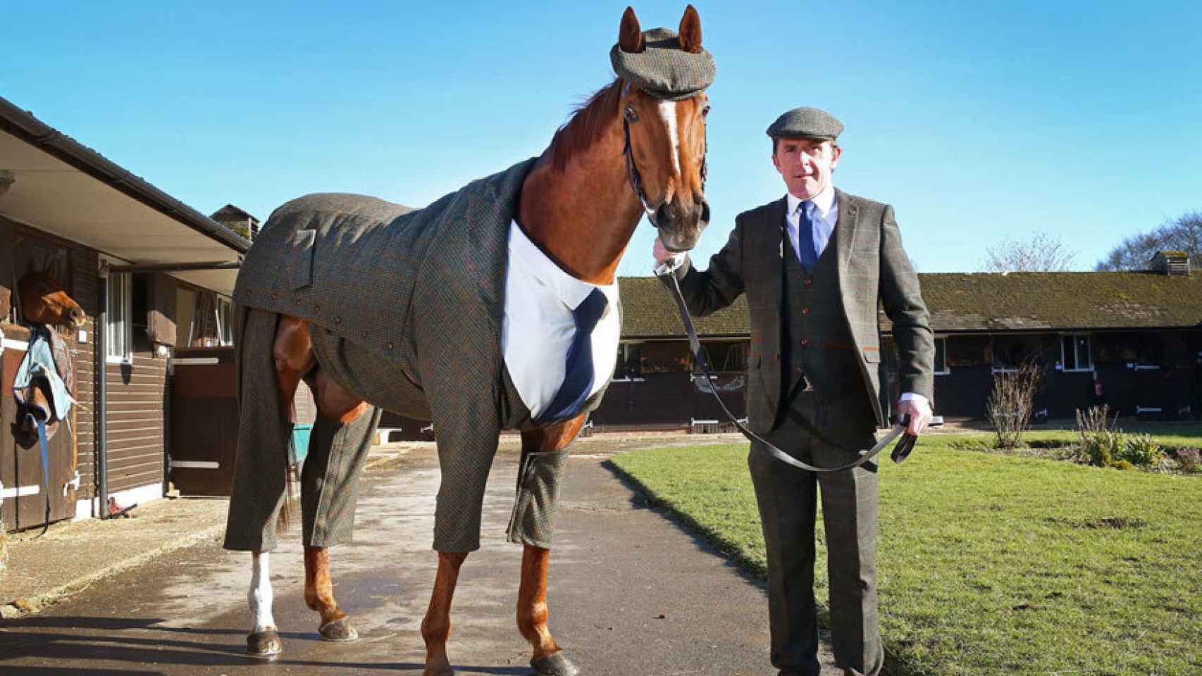Tony McCoy con el primer caballo del mundo vestido de traje