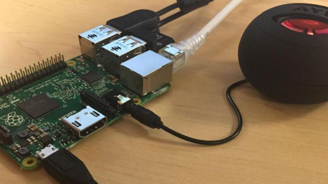 echo-raspberry-pi