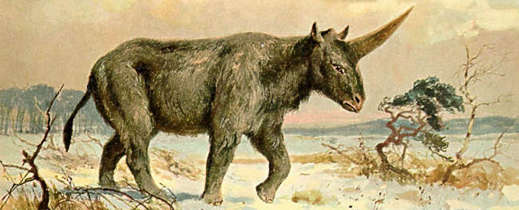 unicornio-siberia