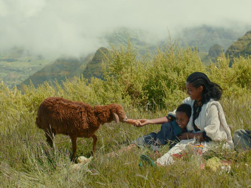 Fotograma de la película etíope Lamb.