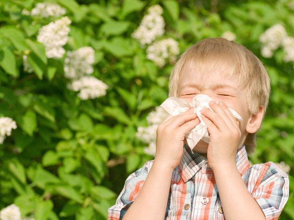 alergia-niño-estornudo