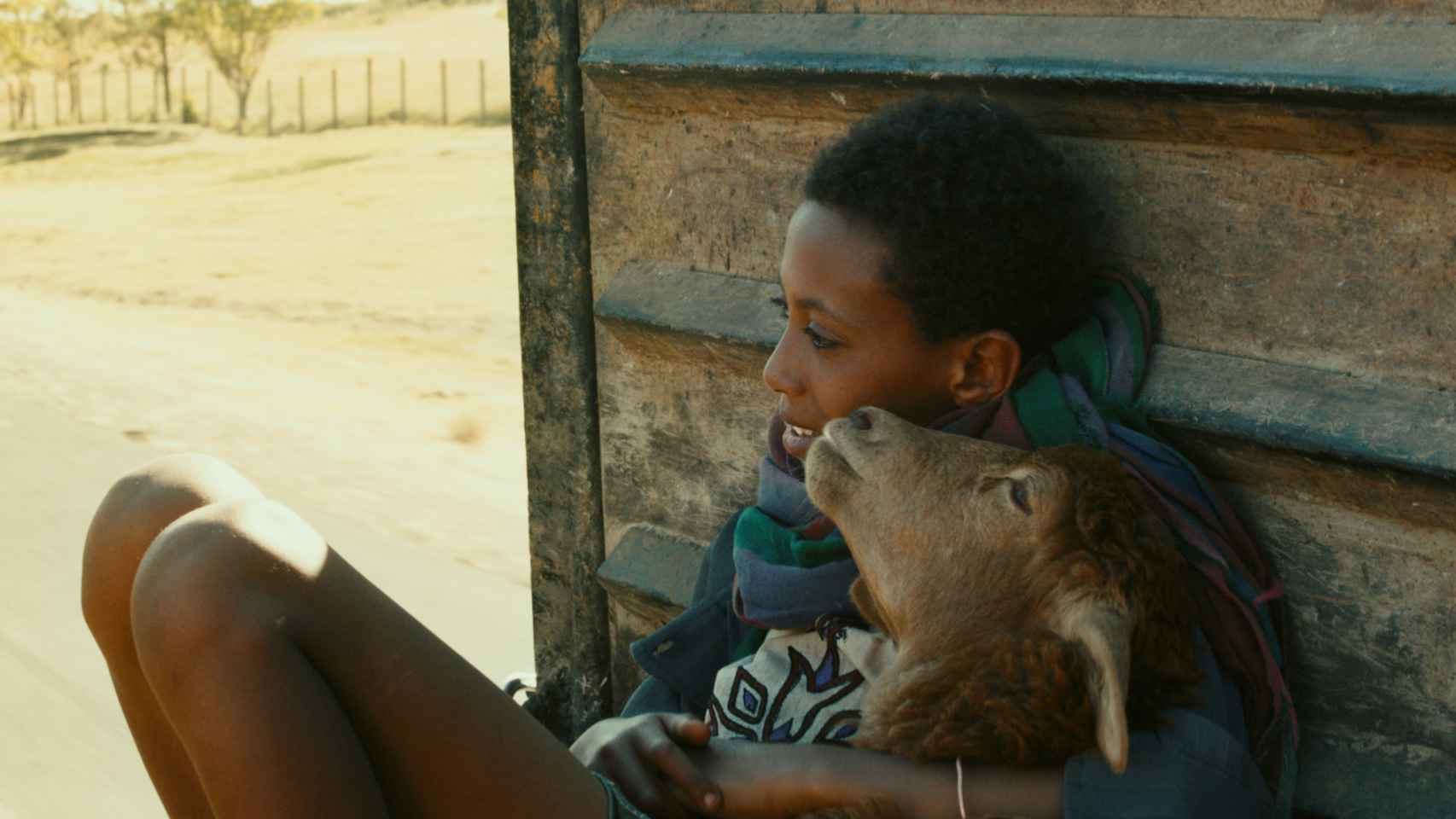 Fotograma de la película etíope Lamb.
