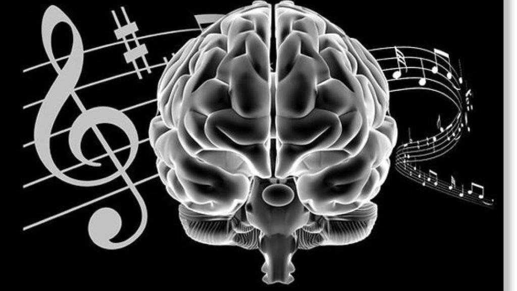 cerebro_musico