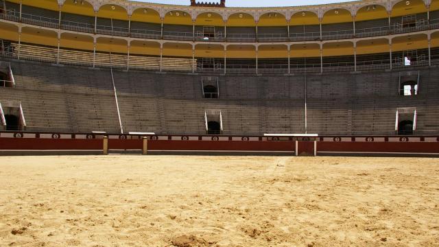 El ruedo de Las Ventas.