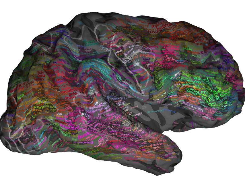 El atlas semántico elaborado por los investigadores.